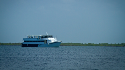 Jardines Avalon 4